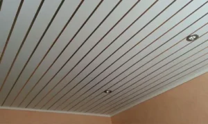 plastic false ceiling design