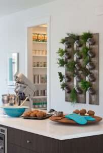 indoor plant decor ideas herb garden in the kitchen 