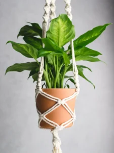 indoor plant decor ideas for summer macrame plant hanger