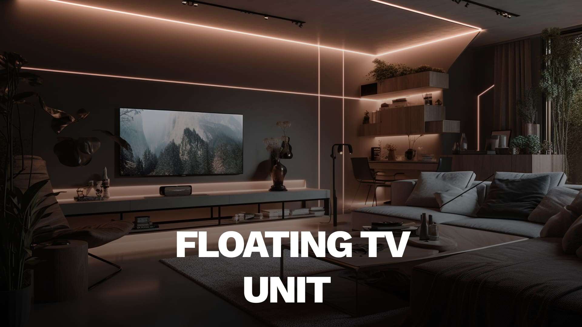 Floating TV Unit