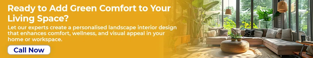 Ready to Add Green Comfort to Your Living Space?